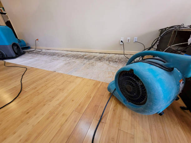 Professional Water Damage Repair technician working in Connersville, IN